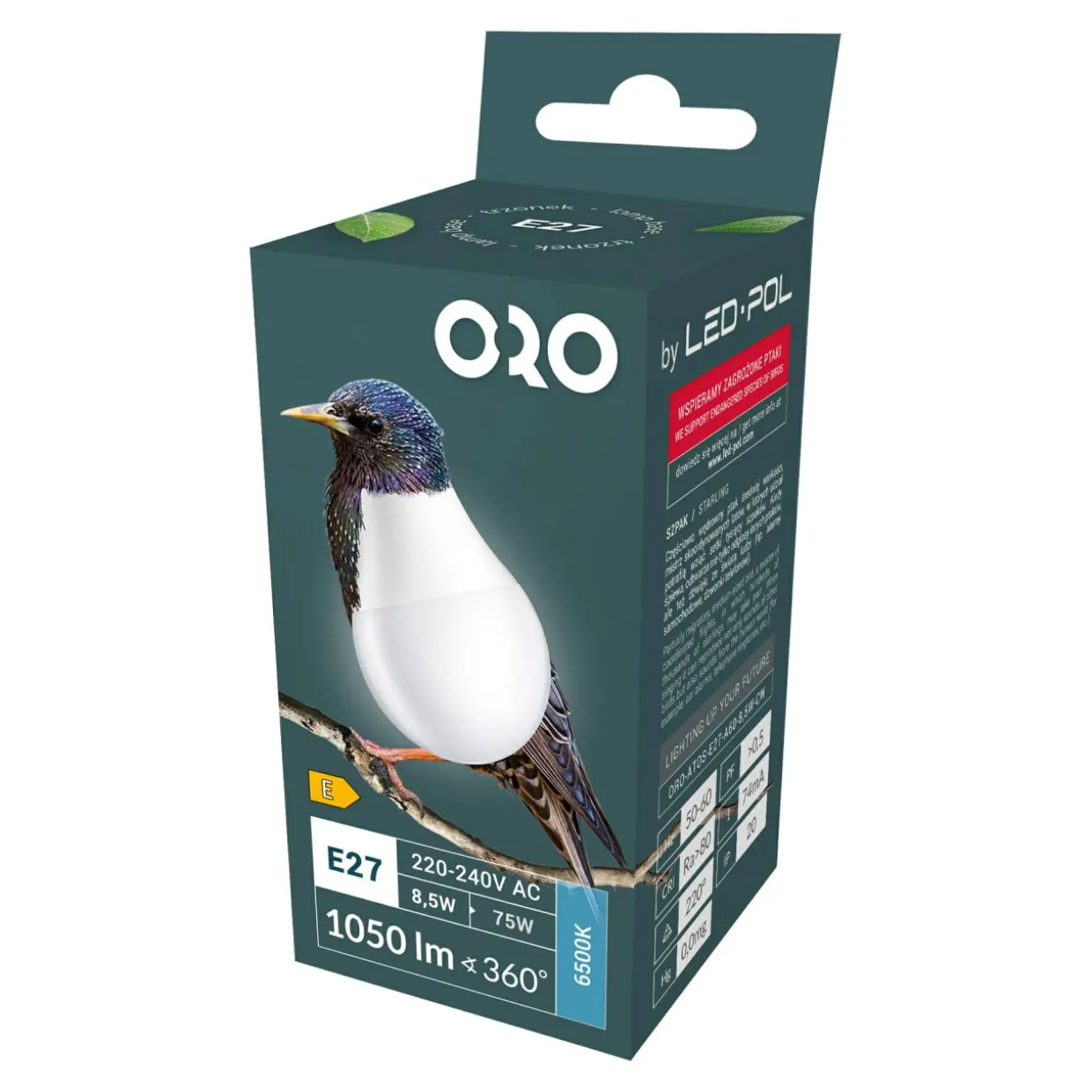 Żarówka LED E27 8,5W barwa zimna ORO-ATOS-E27-A60-8,5W-CW