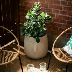 Donica twarz beżowa 45x42,5 cm