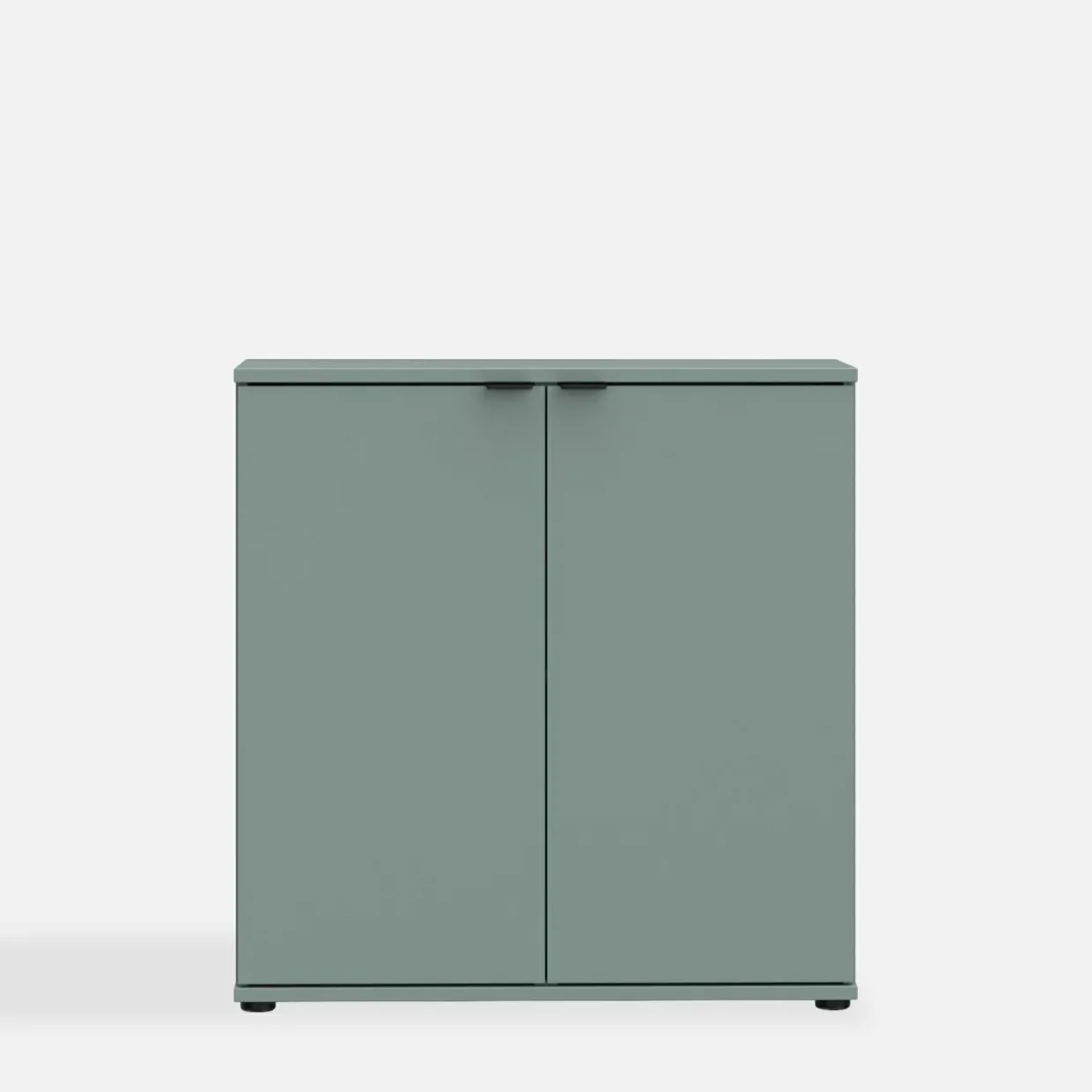 Komoda 2 - drzwiowa GANYMEDE szałwia