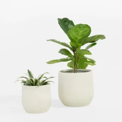 Komplet 2 donic białych