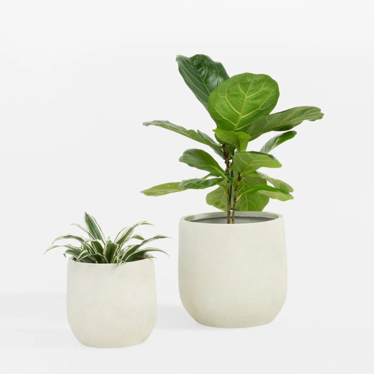 Komplet 2 donic białych