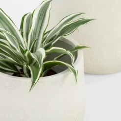 Komplet 2 donic białych