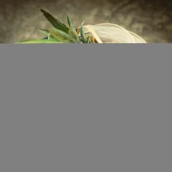 Koszyk z moskitierą, bambusowy, 35 cm