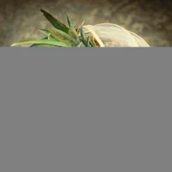 Koszyk z moskitierą, bambusowy, 30 cm