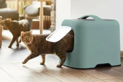 Kuweta dla kota wysoka zielona 51 cm