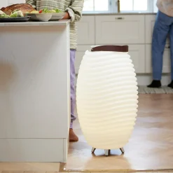 Lampa LED z głośnikiem Bluetooth i chłodziarką KOODUU SYNERGY 65