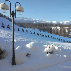 Lampa zewnętrzna outdoor wysoka 2-ramienna czarna BOSTON