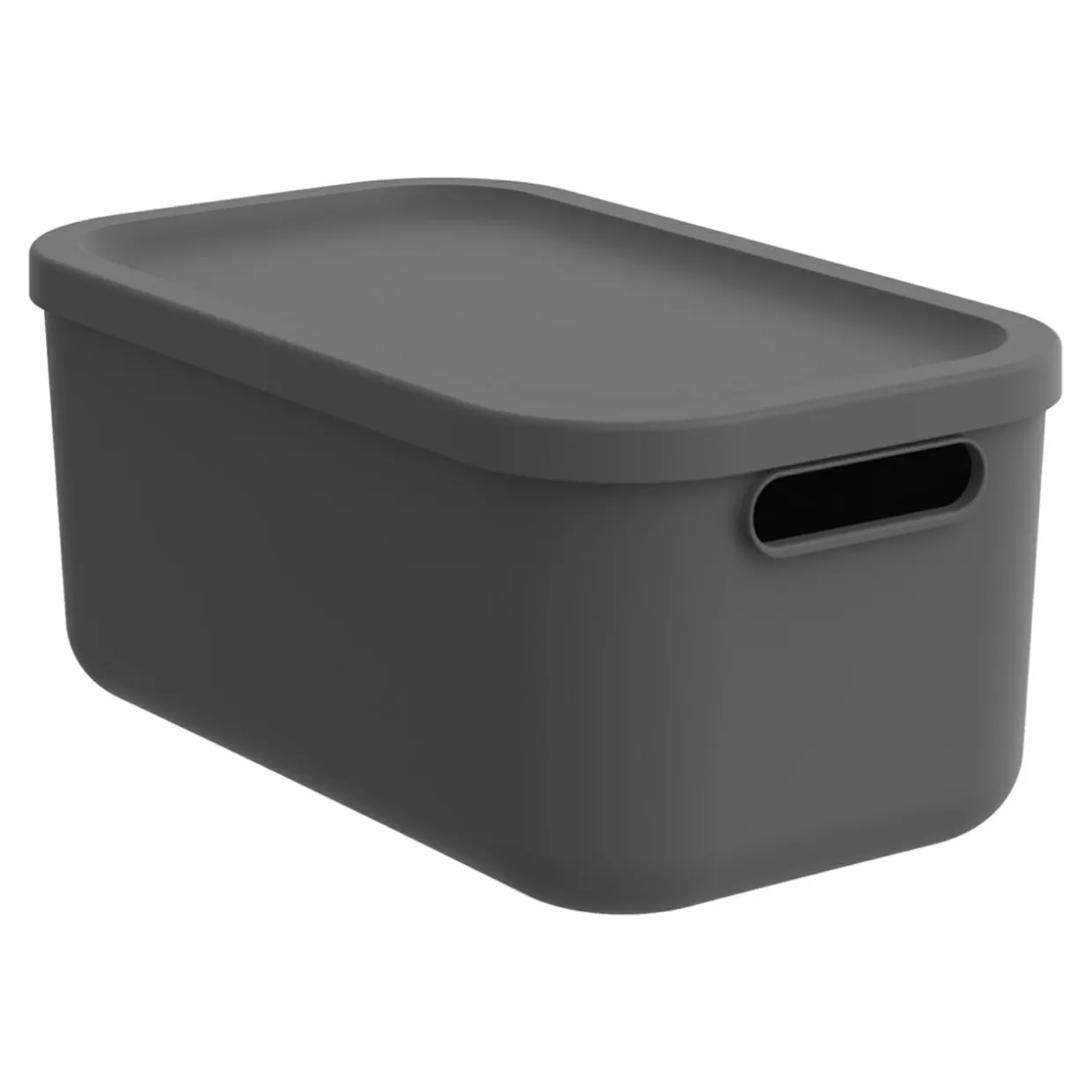 Pojemnik do przechowywania antracyt ALBULA 12 L