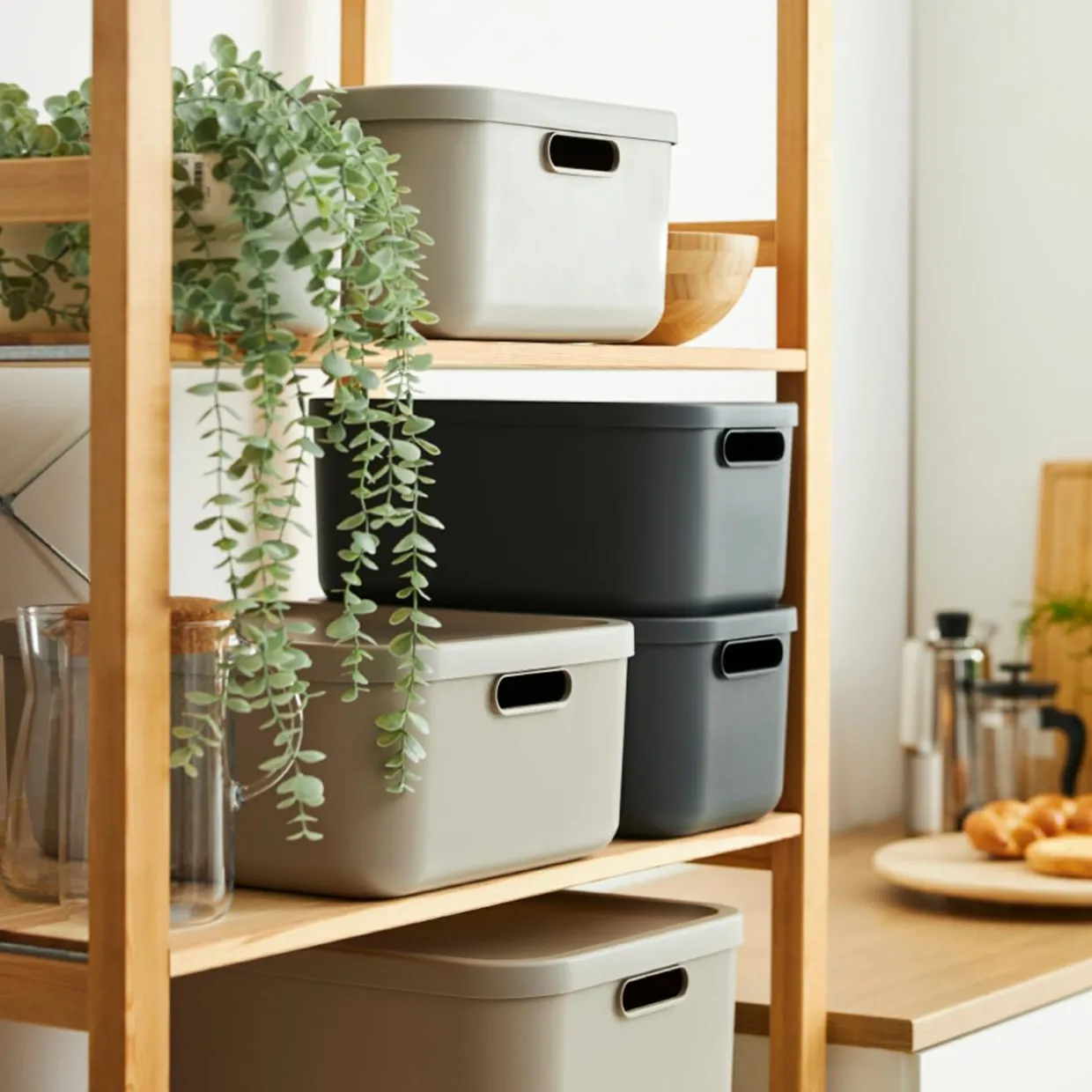 Pojemnik do przechowywania antracyt ALBULA 12 L