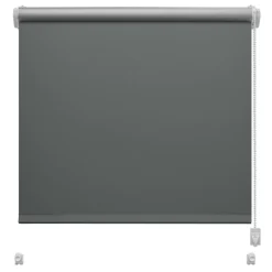 Roleta mini THERMO 68x215 cm