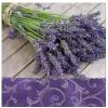 Serwetki papierowe LUNCH LAVENDER IN THE COUNTRY 20 szt.