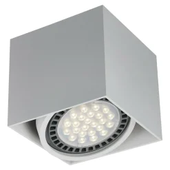 Spot natynkowy 1-punktowy biały BOX SL 1