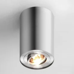 Spot natynkowy z regulacją srebrny RONDOO