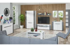 Szafka RTV BRANDO 2S B1