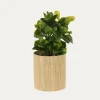 Sztuczna roślina w bambusowej doniczce MIX