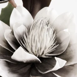 Sztuczny kwiat magnolia szary 103 cm