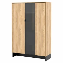 Witryna do salonu z przeszklonym frontem NOMAD