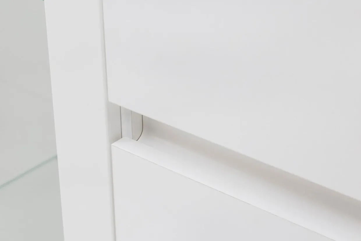 Witryna niska ERDEN 2D1W1S