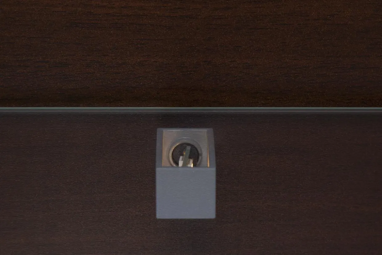 Witryna wąska ciemny brąz PARIS